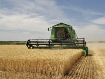 Agriculture in Volgograd Oblast 002