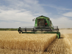 Agriculture in Volgograd Oblast 002