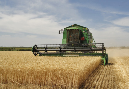 Agriculture in Volgograd Oblast 002