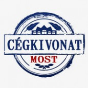 Cegkivonatmost logo