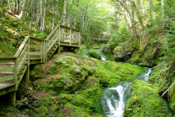 Fundy National Park of Canada 9
