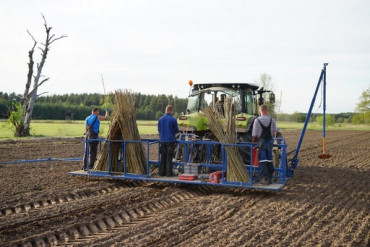 Step Planter Planting kicsi