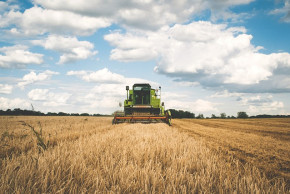 agriculture g589073bab 640