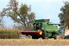 corn harvest 4530737 640