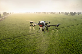dji 5331597 640