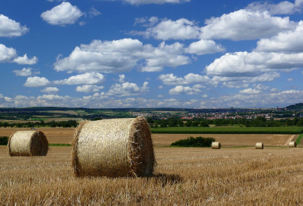 hay bales 594996 960 720