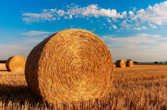 hay bales 726976 640