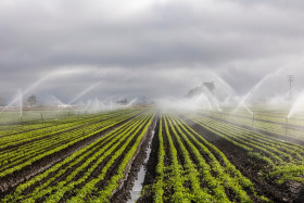irrigation 7262563 640