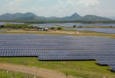 solar panel 2889317 640