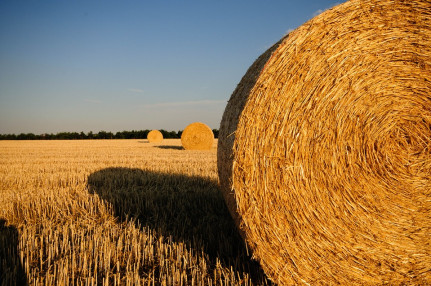 straw bales