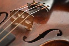 violin 3886139 640